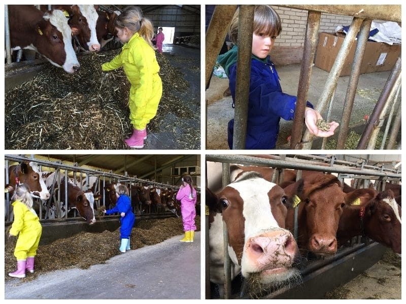 helpen op boerderij Erve Baak