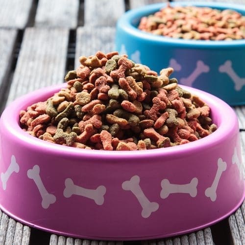 PAW Patrol feestje hondenvoerbak