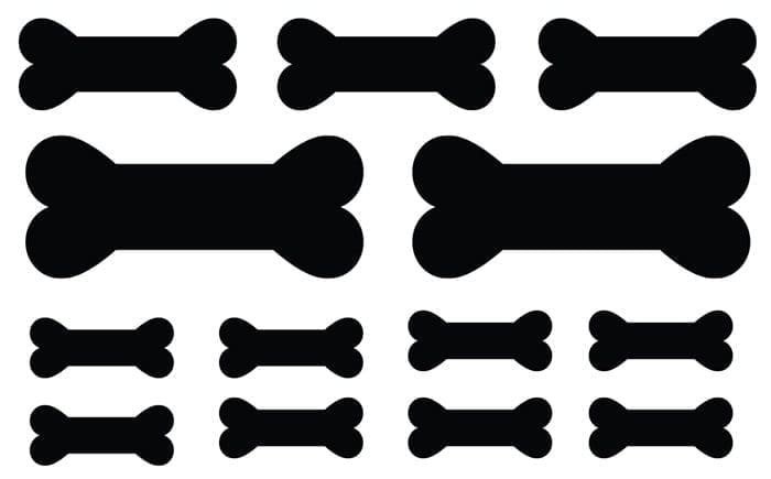 PAW Patrol feestje botten