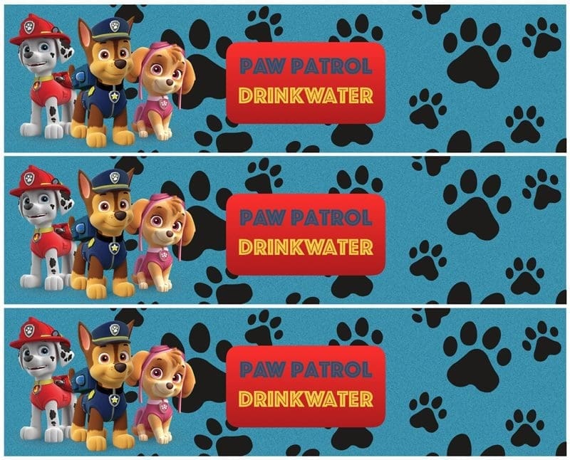 PAW Patrol feestje waterflesjes