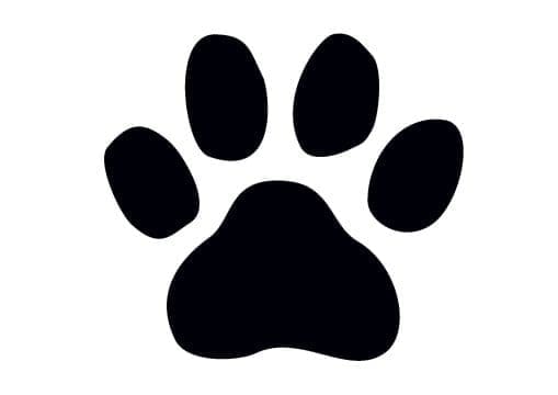 PAW Patrol feestje pootafdruk