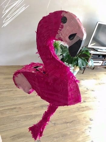 Kinderfeestje 5 jaar