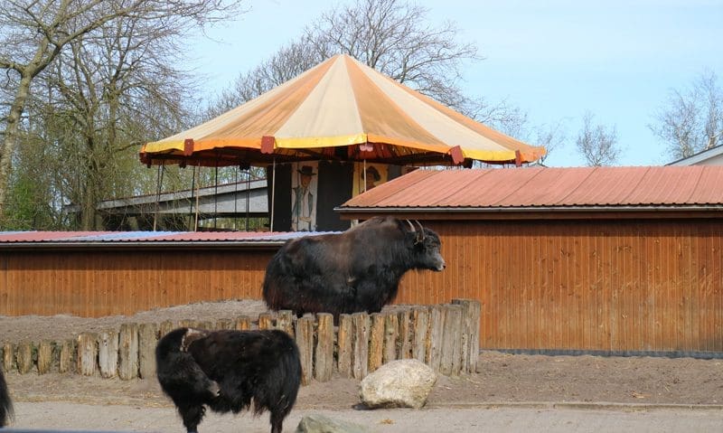 Jyllands zoo ouderwets
