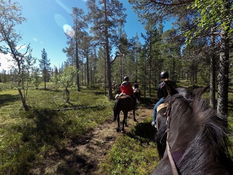 idre fjall paardrijden