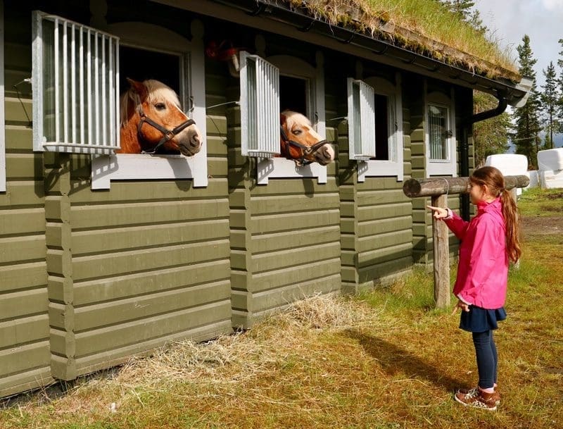 paardrijden idre fjall