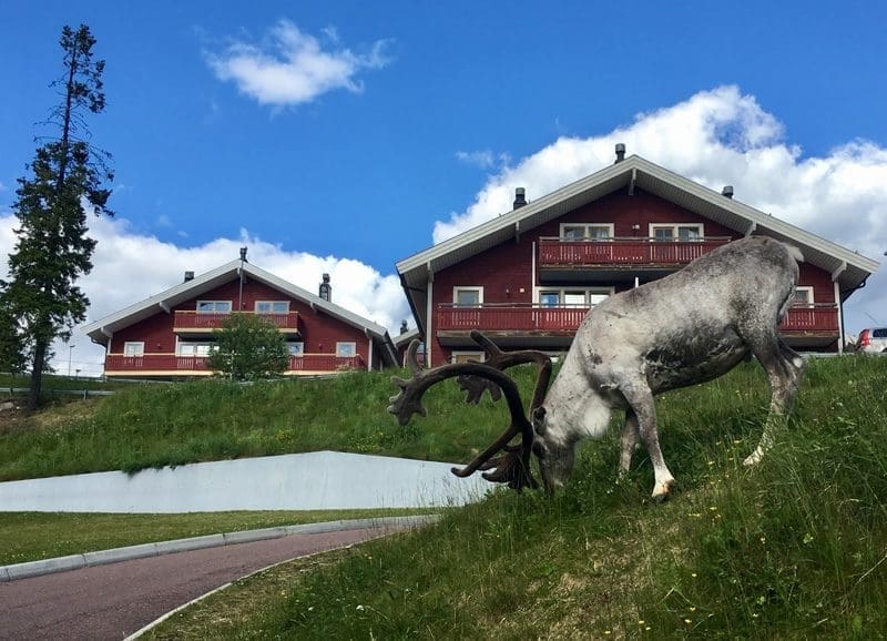 vakantie zweden, Idre Fjäll vakantiepark