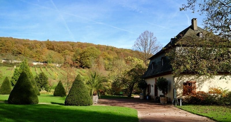Klooster Eberbach wijngaard