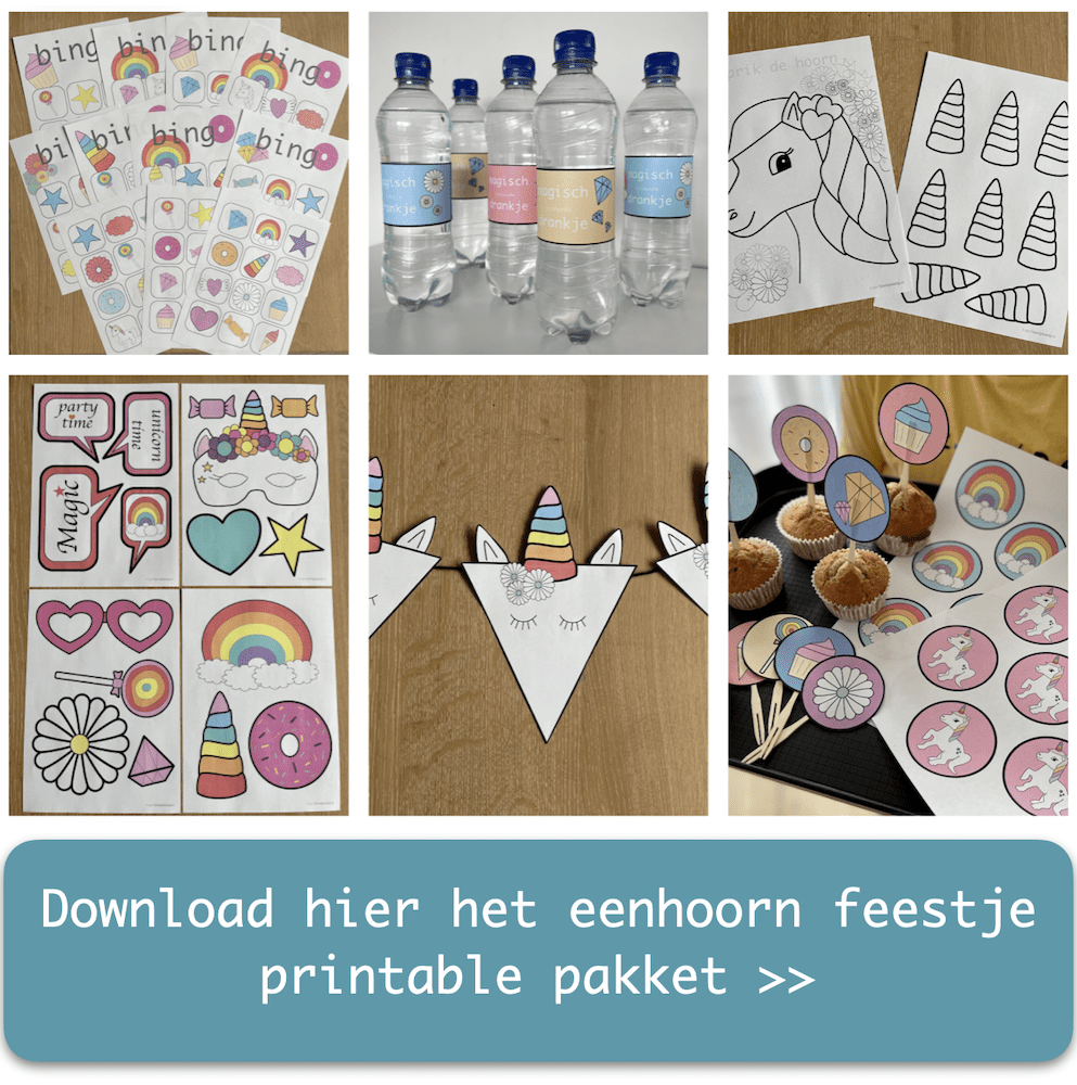 unicorn feestje
