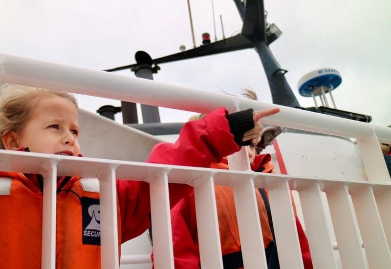 walvis rondreis ijsland