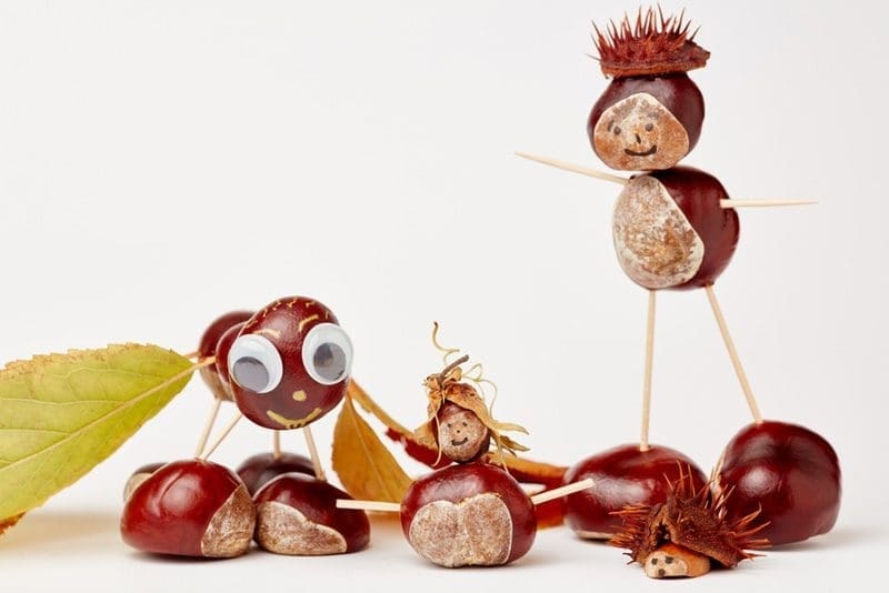 knutselen met kastanjes