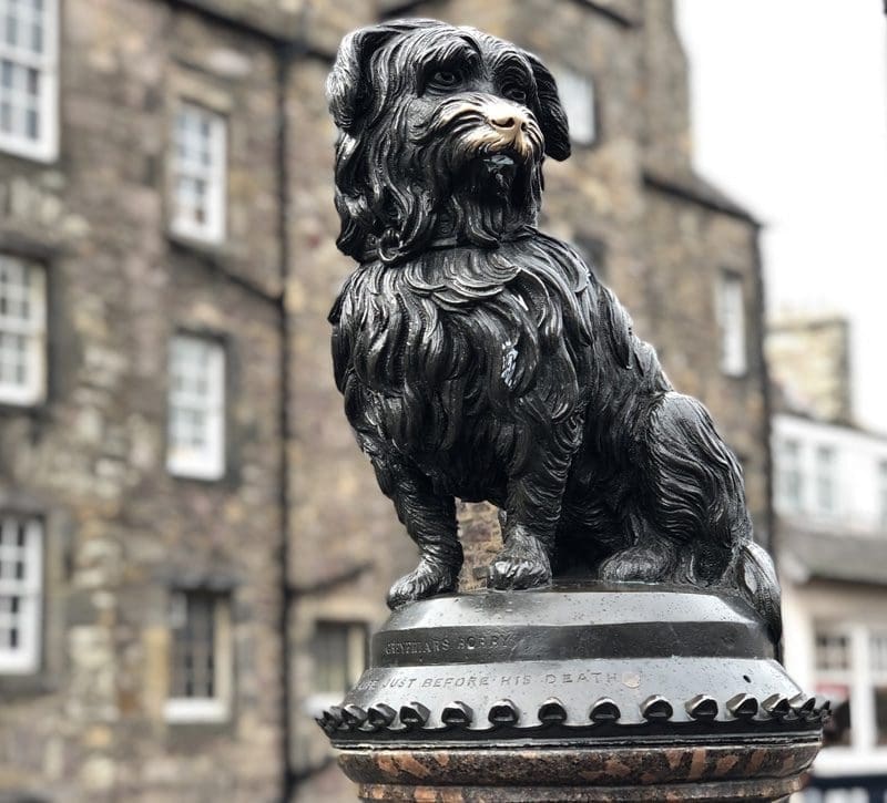 harry potter wandeling