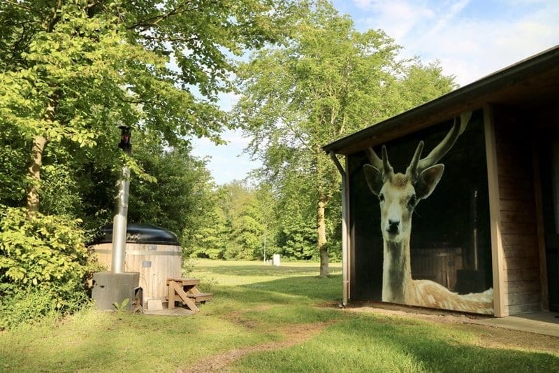 huisje met hottub dierenbos