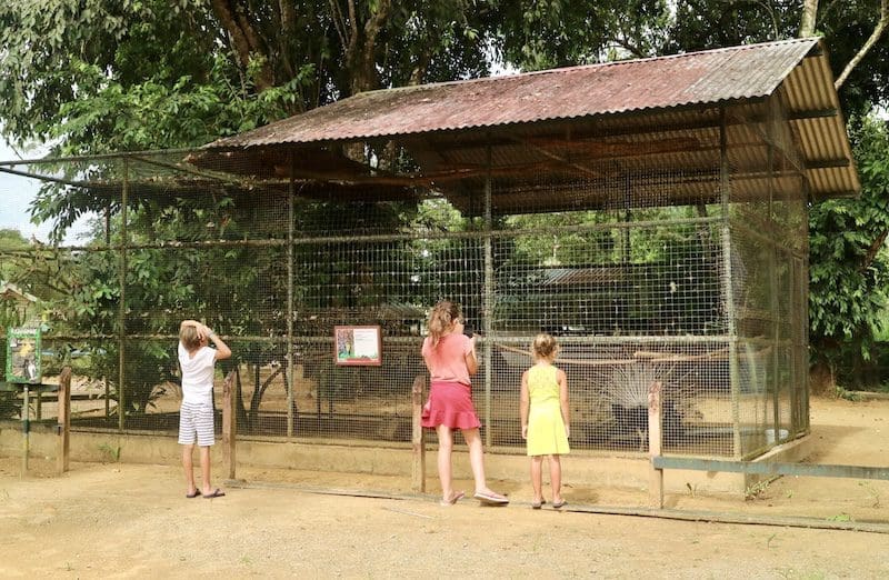 paramaribo zoo kinderen