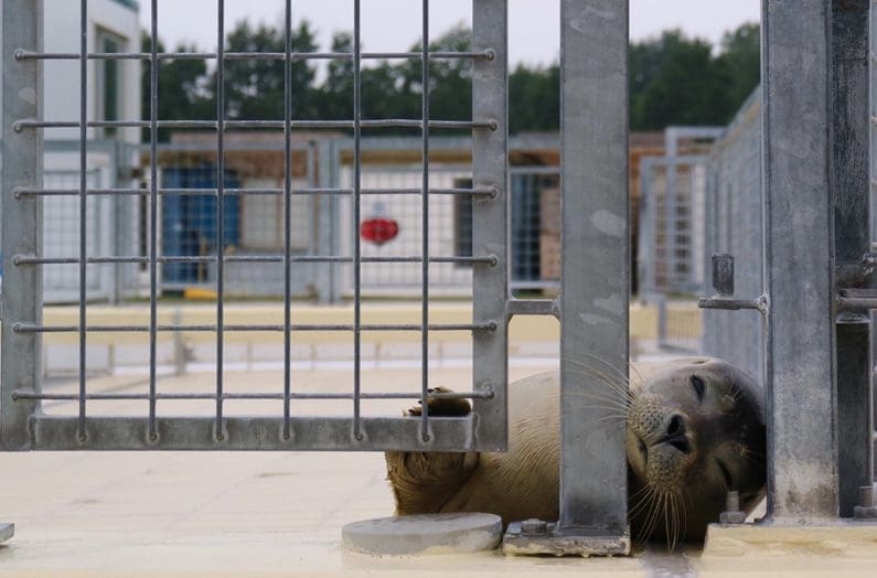 dagje uit pieterburen