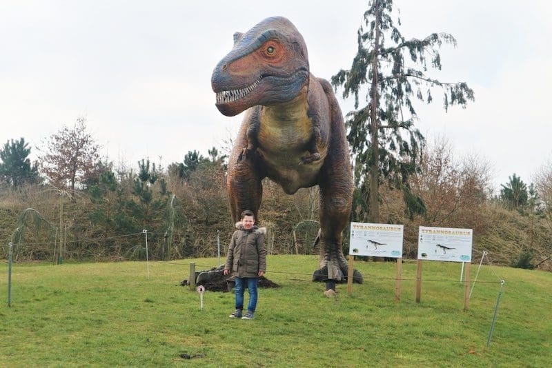 uitjes in nederland groningen