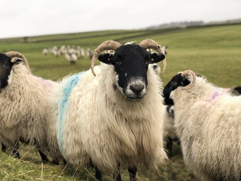 roadtrip noord engeland