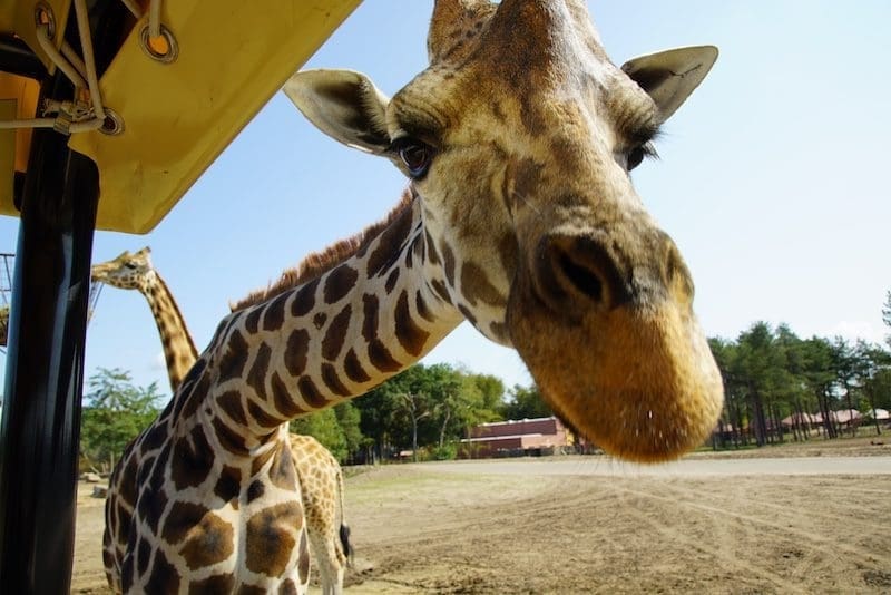 camping met recreatieplas