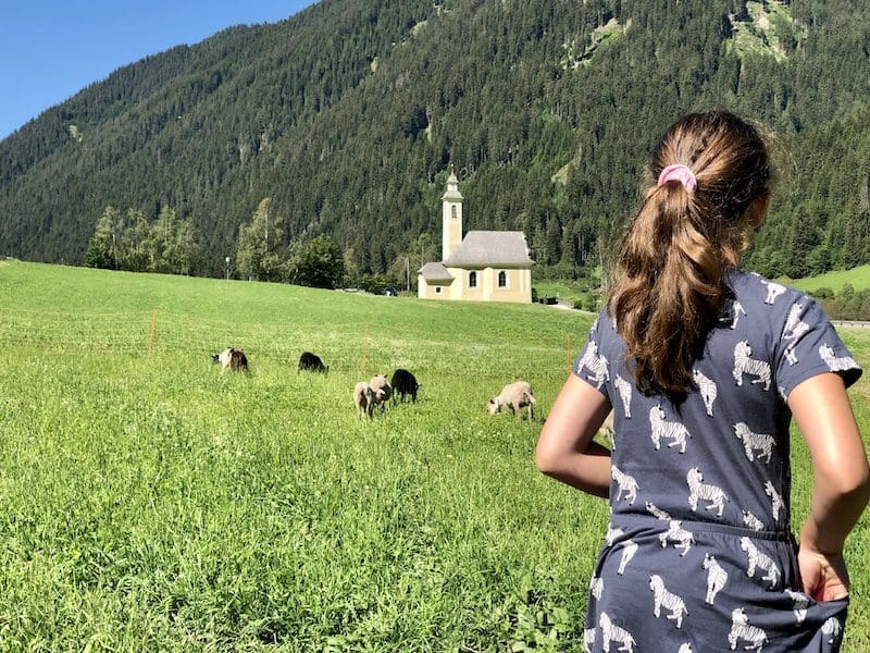 roter hahn vakantie boerderij zuid tirol