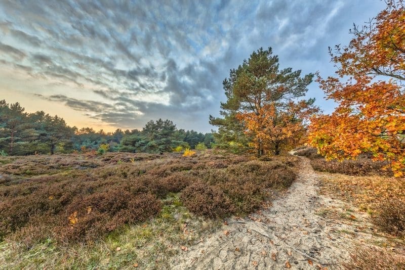 vakantiepark herfst drenthe