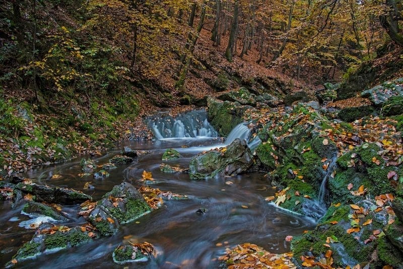 vakantiepark herfst belgie