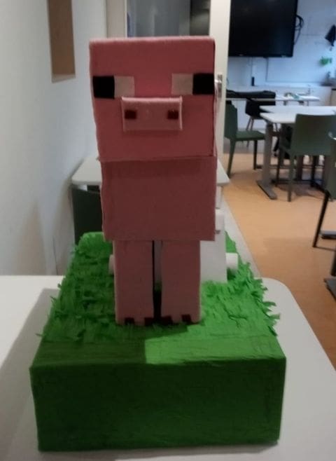 minecraft varken