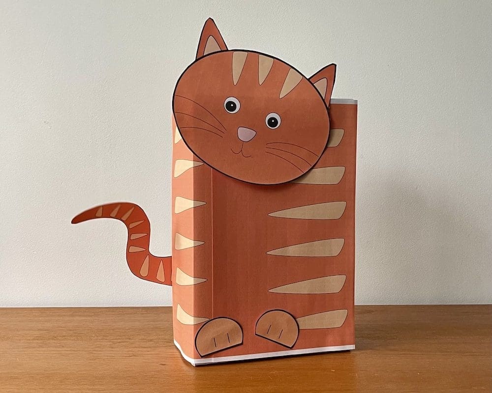 makkelijke poes surprise