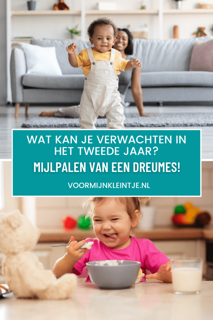 mijlpalen van een dreumes
