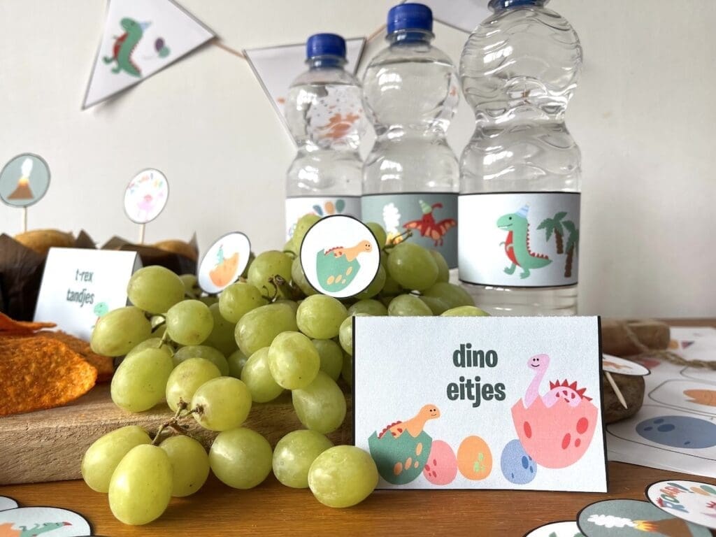 dino kinderfeestje