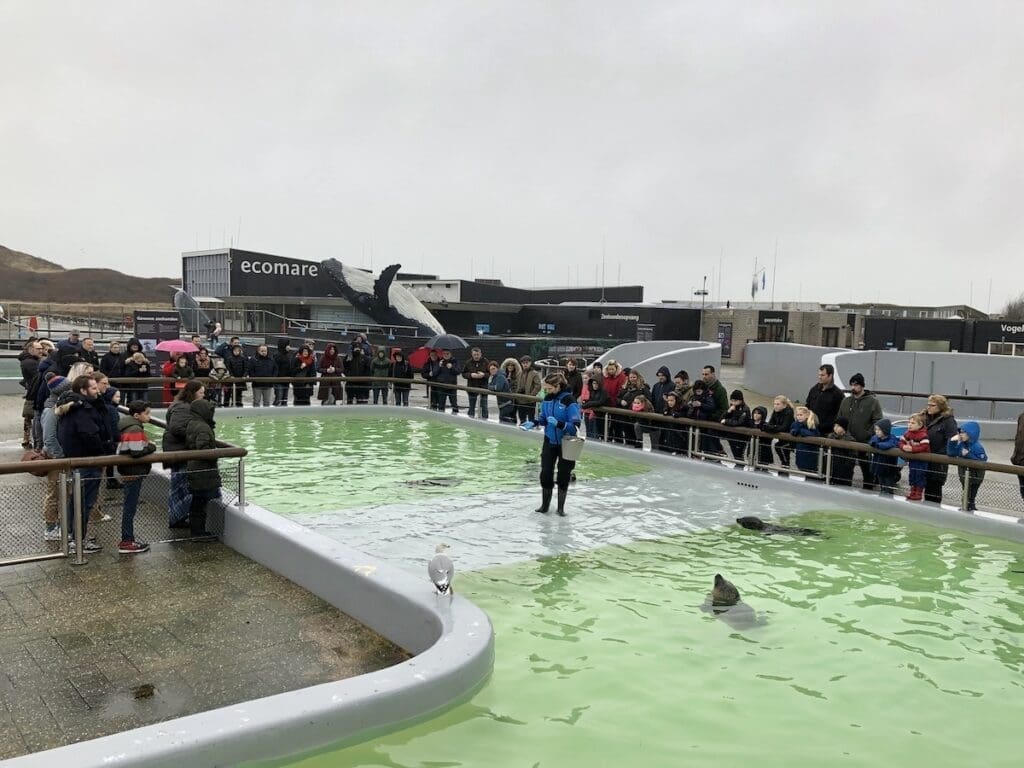 kinderuitjes Noord-Holland