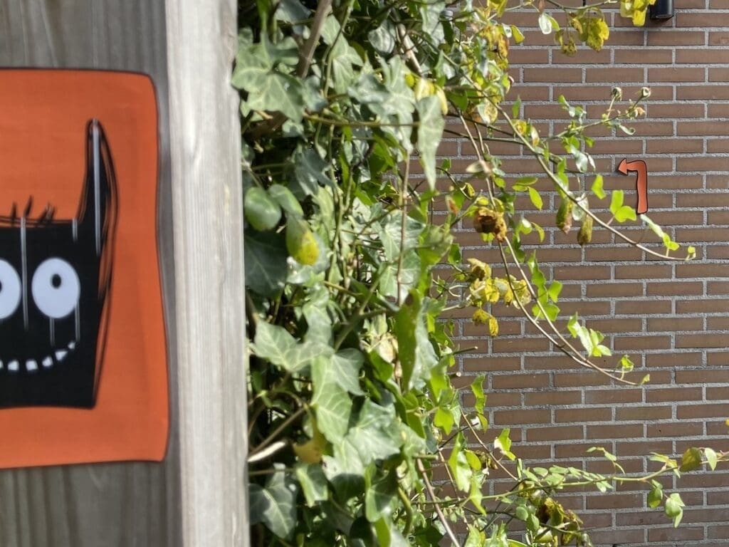 halloween speurtocht