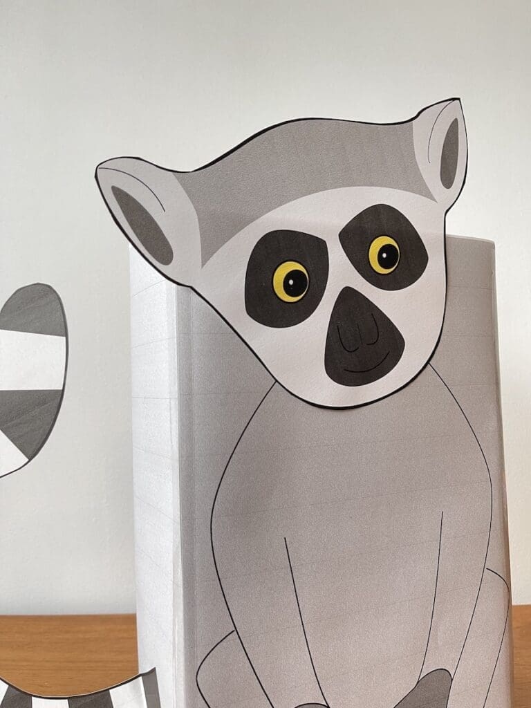 ringstaartmaki surprise