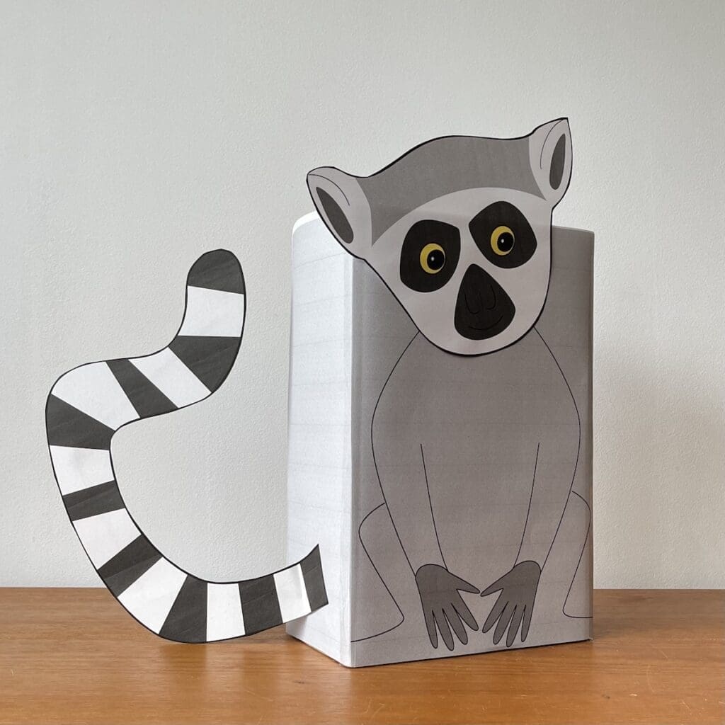 ringstaartmaki surprise