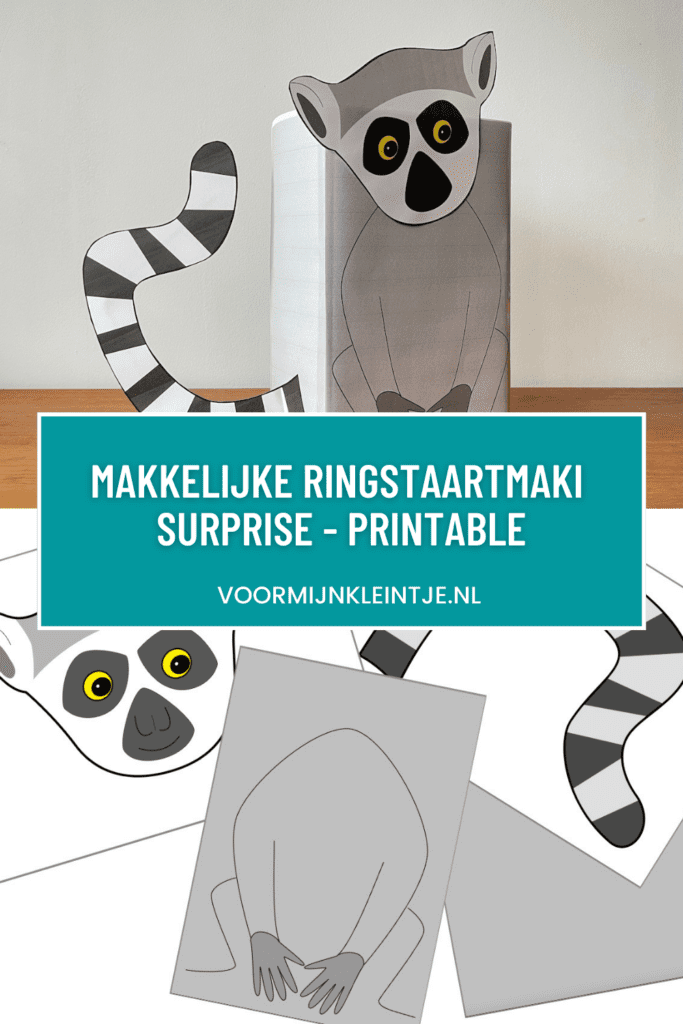 ringstaartmaki surprise maken