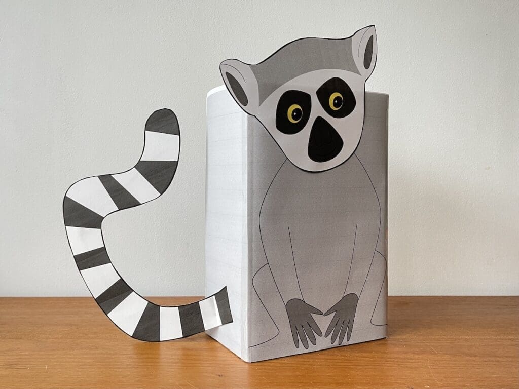 surprise ringstaartmaki